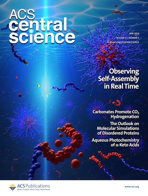 IIN, University of Florida research featured on cover of ACS Central